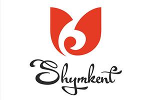 Кибербуллинг және  Діни экстремизм мен терроризмге қарсы  алдын алу